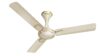 Havells 1200mm Milor Energy Saving Ceiling Fan (Gold, Pack of 1)