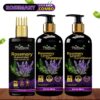 Phillauri Rosemary Essential Oil for Hair Growth|100% Pure & Natural for Hair Fall Control(3 Items in the set)