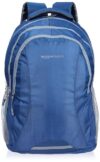 Amazon Basics 35L Large 15.6 Inch Laptop Backpack With Rain Cover And 2 Bottle Pockets, Blue