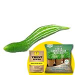 TrustBasket Premium Snake Gourd (Hybrid) Seeds with Free Germination Potting Soil Mix | Sow and Grow Fresh Healthy Seed in Your Garden Perfect for Home & Terrace Gardening
