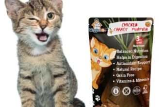 WiggleBoo Chicken, Carrot & Pumpkin Cat Treat | Protein Rich | Natural Detoxifier | Crunchy Snack | (45g)