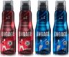 Engage Deo Combo, 2 Intrigue for Him (165ml) & 2 Spirit for Him (165ml), (Pack of 4) Deodorant Spray  –  For Men(660 ml, Pack of 4)