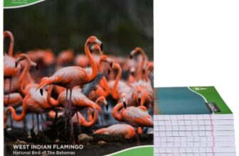 Classmate Notebook Regular Notebook Single Line 172 Pages(Multicolor, Pack of 12)