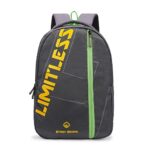 Stony Brook by Nasher Miles Altitude Grey Casual Backpack 35 L