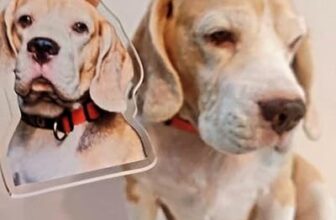 The Grandeur Personalized Pet Photo Acrylic Keychain