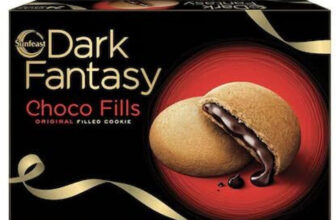 Sunfeast Dark Fantasy Choco Fills Fill With Chocolte Cookies Biscuit(273 G)