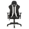 Innowin Defender Igc Series Gaming Chair With Premium Soft Fabric And Pu Leather Ergonomic 3D Adjustable Armrest And Adjustable Neck & Lumbar Pillow With Glass Filled Nylon Base (White)