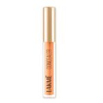 Lakme 9to5 Powerplay Priming Concealer Built in Primer, Hydrating, 16 Sand, 5.4ml