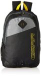 Home Gear 21 Ltrs Black Grey Casual Backpack (Mdbkpeco50104)