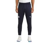 Home Puma Mens MCFC Training Pants, Parisian Night-Team Light Blue, S (76776915)