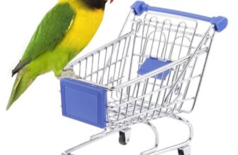 Sage Square Miniature Shopping Trolley for Birds: Engaging Play & Enrichment, Durable, Cage Accessory, Entertainment, Fun & Interactive Play Toy for Budgies, Parrot, Love Birds (Random Colour)