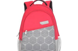 Lavie Sport Grid 21L Casual Backpack for Men & Women | Backpack for Boys & Girls