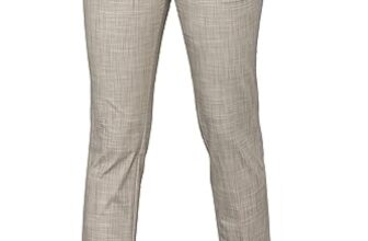 Allen Solly Women’s Regular Pants (AHTPWRGFW26196_Beige