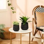 amazon basics Planter (Set of 2) | Flower Pot for Home Decor (Textured Black)