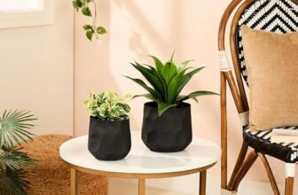 amazon basics Planter (Set of 2) | Flower Pot for Home Decor (Textured Black)