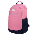F Gear Balanzo 16L Laptop Backpack for Women & Men| College|2 Compartments, 1 Pocket, USB and TypeC Port|Luggage Strap|Detachable Key Holder|Laptop and Tablet Sleeves (Pink)