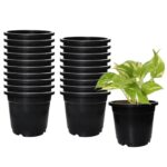 Amazon Brand – Solimo 100% Virgin Plastic Round Nursery Planter Pot | Indoor and Outdoor Flower Pot for Home/Office/Table/Garden/Balcony Decoration | 6 inch, Set of 20 | Black