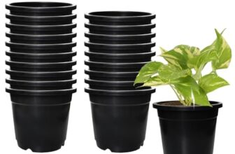 Amazon Brand – Solimo 100% Virgin Plastic Round Nursery Planter Pot | Indoor and Outdoor Flower Pot for Home/Office/Table/Garden/Balcony Decoration | 6 inch, Set of 20 | Black
