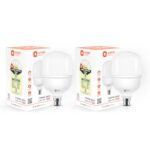 Orient Electric Eternal Shine LED Bulb 30W, B22d Cap, 6500K (Pack of 2)