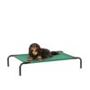 AmazonBasics Small Elevated Cooling Pet Dog Cot Bed – 36 x 22 x 7.5 Inches, Green