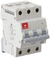Havells DHMGCTPF010 PVC Plastic 10A MCB TP C Curve (White)
