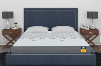 Centuary Mattresses Sleepables 10 Inch Multi Layered Pocket Spring King Mattress (78x72x10)
