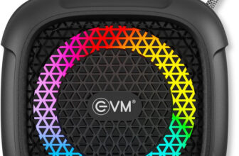 EVM BTS-202 5 W Bluetooth Speaker(Black, Mono Channel)