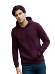 Neostreak Men’s Regular Fleece Hooded Neck Sweatshirt (neoswtsolhd-02-ptpurp_Purple_L)