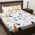 Story@Home Metro Collection 186 TC 100% Cotton Bedsheet for Double Bed with Two Pillow Covers, White