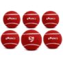 Cricket Balls SG Bounce (Heavy) (Pack of 6)
