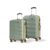Aristocrat Comet Set of 2 (Cabin+Medium) Hard Case Trolley Bags, Green