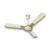 Havells 1200mm Astura Energy Saving Ceiling Fan (Bianco Bronze, Pack of 1) 1 Star