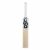 DSC Condor Player Edition English Willow Cricket Bat for Mens, Size-Harrow
