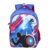 POLE STAR Graphic 35 L Bag for School, College, Casual Backpack with 15.6″ Laptop Compartment, Unisex, Stylish & Durable, 1 year warranty