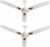 Candes Lynx 3 Star 1200 mm Anti Dust 3 Blade Ceiling Fan(Ivory, Pack of 2)