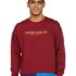 Amazon Brand – Symbol Women’s Cotton Blend Crew Neck Regular Fit Sweatshirt (AW18WNSSW34_Sky Blue + Fire Red_Large_Sky Blue_L)