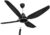 KUHL Brise E4 Stylish Power Saving 5 Star 1400 mm 4 Blade Ceiling Fan(BLDC Motor with Remote | Black | Pack of 1)