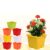 GARDENS NEED 110022 Plastic Gift Pot Set (Multi-coloured, 8-Pieces)