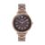 Sonata Poze Quartz Brown Dial Brown Metal Strap for Women-SP80081KM01WF