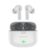 Boston Levin Levin Storm Neo Buds Tws Quad Mic Ai Enc In Ear Earbuds With Bt 5.3, Dual-Ear Calling,Type-C Charging,Ipx5,13Mm Drivers,Playtime Ut 32H,50Ms Low Latancy,F-Touch Control In Ear Earbuds