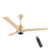 Orient Electric 1200 mm I Tome Smart| 5-star BLDC ceiling fan with IoT, remote & LED lights | Smart fan with Alexa control| Saves up to 50% | 3-year warranty | Topaz Gold, pack of 1