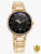 Titan 2674Wm01-Dl931-Ladies Premium Work Wear Analog Watch  – For Women