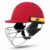 DSC Scud MS Cricket Helmet for Mens (Fixed Spring Steel Grill), Size : Small, Color : Red
