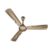 Polycab Vital Prime Premium Ceiling Fan with dual tone finish (Brass Duo)-‘2 year warranty