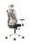 CELLBELL Capree C190 Ergonomic Mesh Home & Office Chair Imported Pneumatic Hydraulic|2D Adjustable Arm Rest (High-Back), White