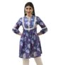 BIBA Women’s 60’S Cambric Printed Straight Kurti (ROSN19176ESS25IBLU_Ice Blue