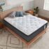 Springtek Eurotop Hybrid Latex Mattress | Euro Top 8 Inches Pocket Spring Queen Size Gadda | GOLS CERTFIED Natural PINCORE Dunlop Latex |78×60 Inch