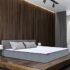 Spacewood Engineered Wood Denver 2 Door Wardrobe with Mirror (Moldau Akazia)
