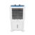 Livpure Zencool Personal Air Cooler- 48L with High Air Delivery, Motor with Thermal Overload Protection, Anti-Bacterial Honeycomb Pads | Inverter Compatibility| 2 year Motor Warranty by Livpure
