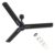 Polycab Wizzy Neo 1200mm 5-Star BLDC,Remote Ceiling fan for home| LED Speed Indicator | High Air Delivery, Ultimate 7 Speed Control | Reverse,Breeze & Sleep Mode| 4-yr Warranty【Black Chrome】